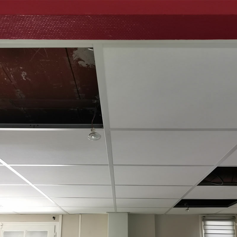 dalle faux plafond Albi 81