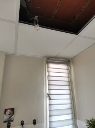 pose plafond suspendu Albi 81