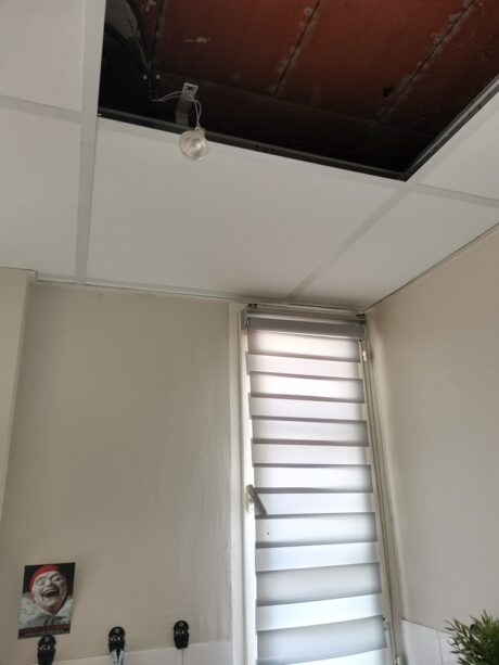 pose plafond suspendu Albi 81