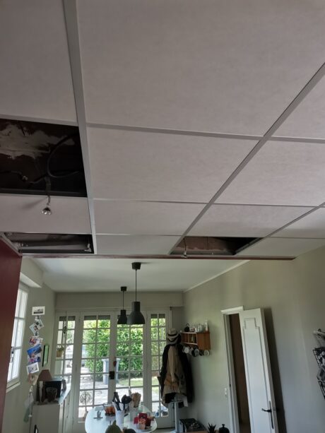 rénovation faux plafond Albi