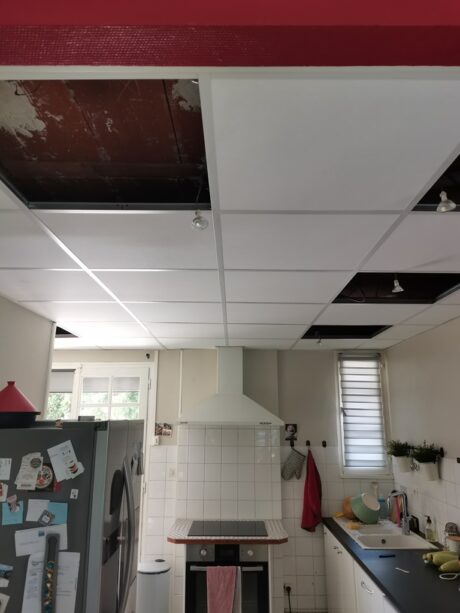 travaux pose faux plafond Albi