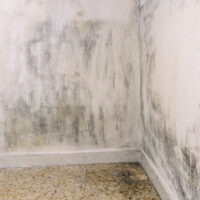 dégât des eaux Toulouse AB Peinture 31