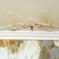 dégat des eaux toulouse 31