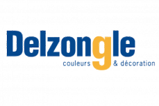 Delzongle peinture Toulouse 31