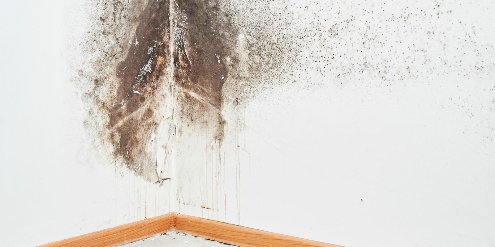 Sinistre dégât des eaux Toulouse