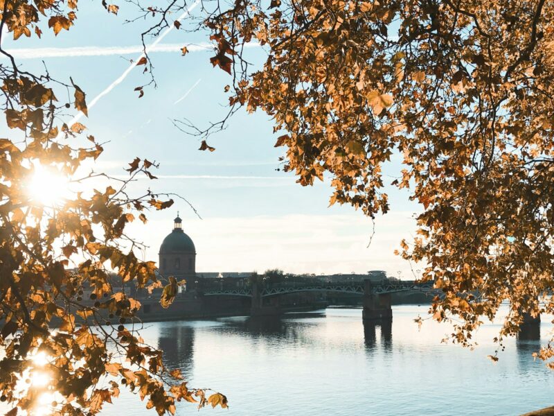 Berges de la Garonne à Toulouse, quais de brique et arbres en bord de fleuve