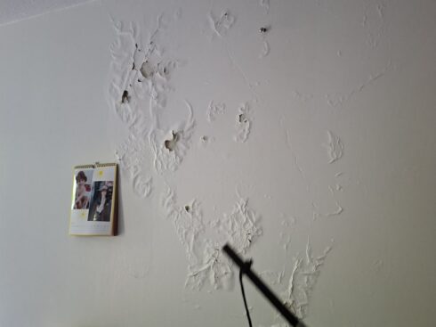 Peinture cloquée et écaillée sur un mur d'appartement avant travaux