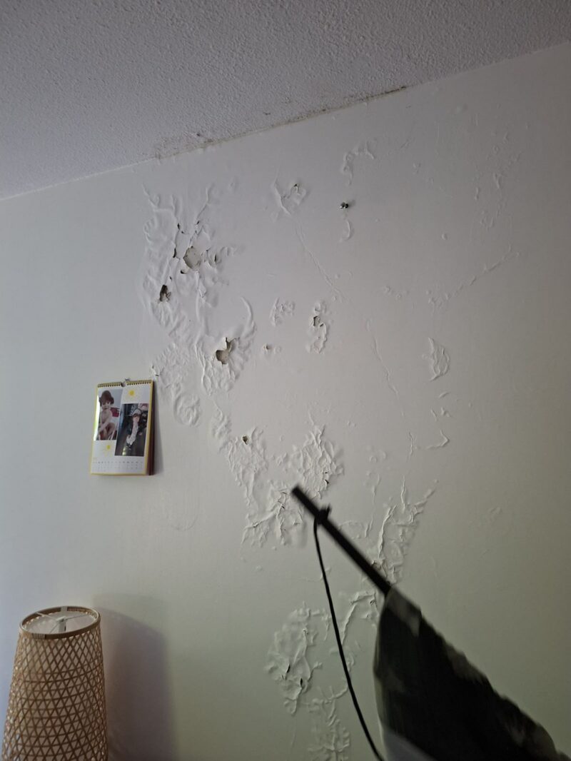 Peinture cloquée et écaillée sur un mur d'appartement avant travaux