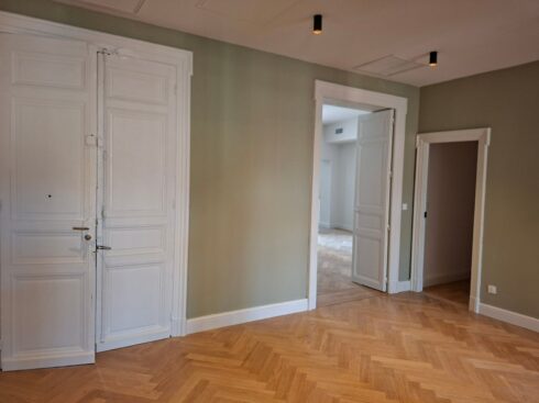Porte d'entrée à deux vantaux et murs vert sauge dans le hall de l'appartement