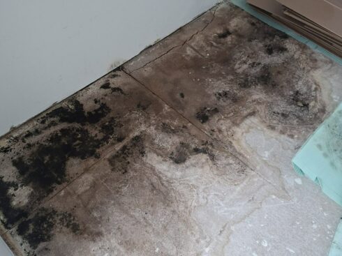 Ancien sol de salle de bain abîmé par l'humidité avant travaux