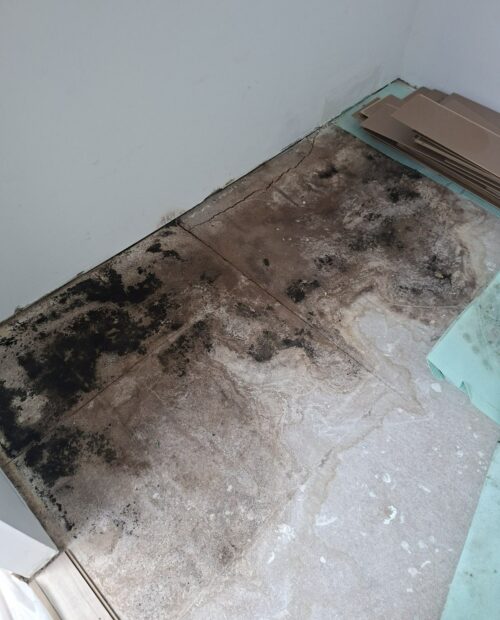Ancien sol de salle de bain abîmé par l'humidité avant travaux